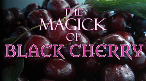 The Magical Cherry: A Treasure from Ancient Times